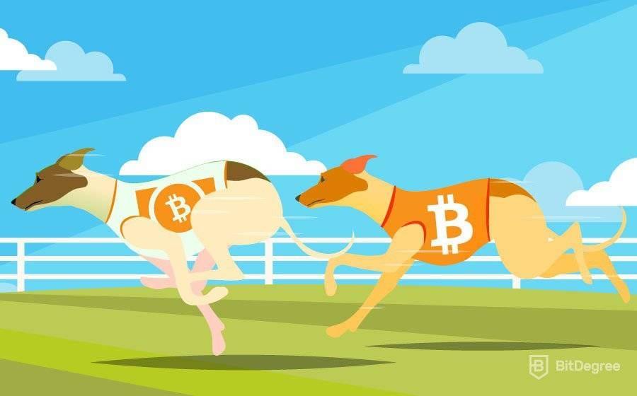 Bitcoin Cash Или Bitcoin: В Чём Отличие?