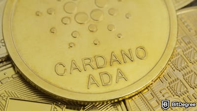 Cardano Stake Etmek: Pasif Gelir Elde Etmek için Adım Adım Kılavuz