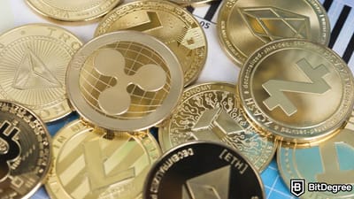 Kaç Adet Kripto Para Birimi Var? Kripto Ormanında Yönünü Bulmak
